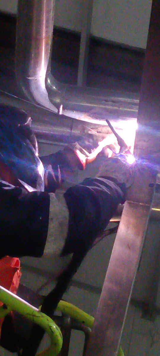 Revisión de motorreductor en línea de envasado — caso 20