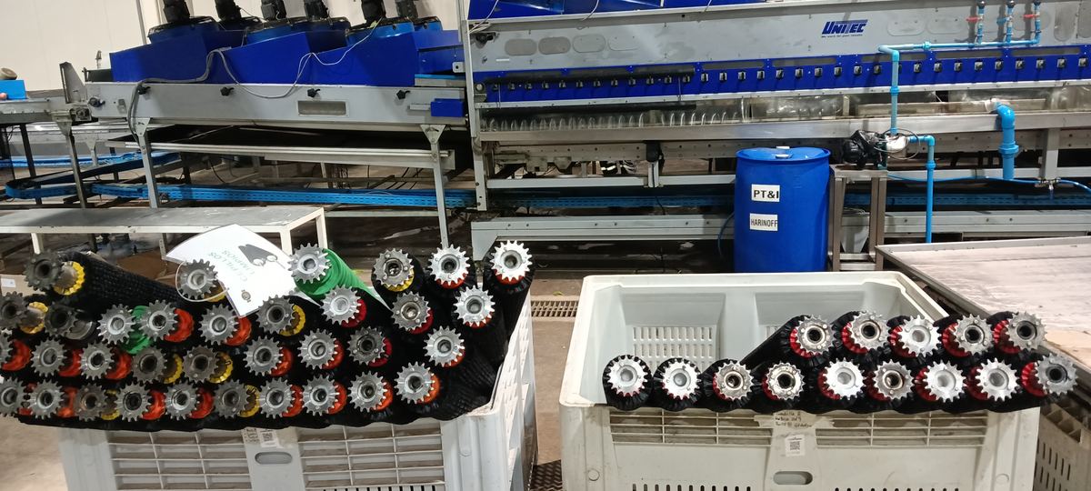 Revisión de línea de producción en planta agroindustrial — caso 23