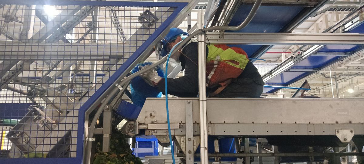 Reparación de estructura metálica — caso 29