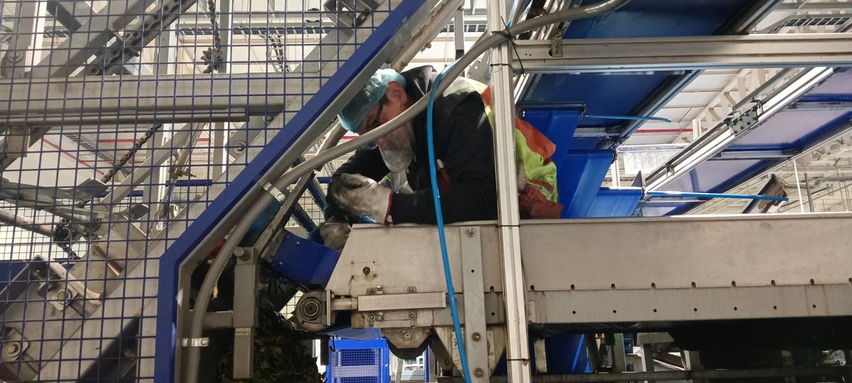 Mantención de cadena transportadora en línea de proceso — caso 31
