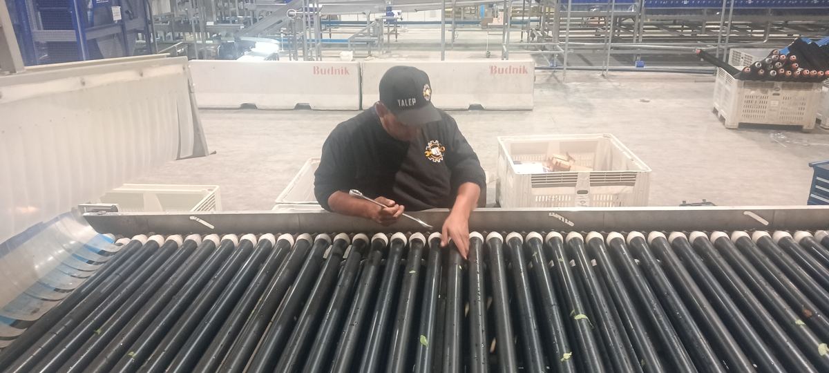Montaje de motor y acoplamiento — caso 46